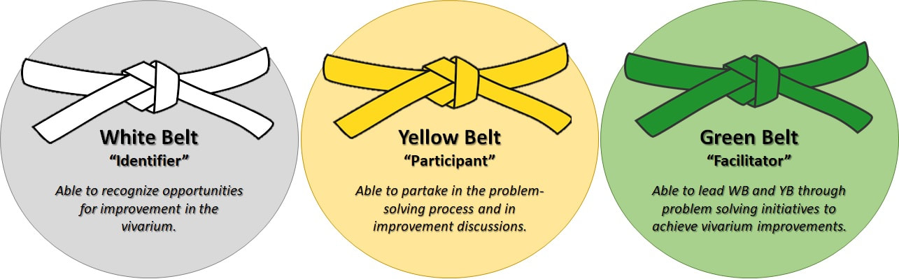 About Belt Certification - The VOE-Network